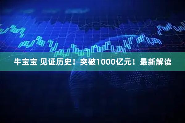 牛宝宝 见证历史！突破1000亿元！最新解读
