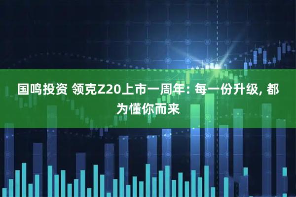 国鸣投资 领克Z20上市一周年: 每一份升级, 都为懂你而来
