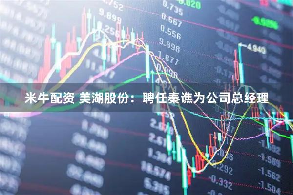 米牛配资 美湖股份：聘任秦谯为公司总经理